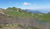 Trail Walking Le Grand-Bornand - BARGY: LE CHINAILLON - LAC DE LESSY - Photo 12
