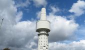 Tour Zu Fuß Neustadt in Holstein - Rund um die Rettiner Wiesen - Photo 2