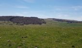 Tocht Stappen Prinsuéjols-Malbouzon - prinsueljols-aubrac etape st Jacques  - Photo 14