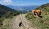 Trail Walking Err - tami de nuria - Photo 1