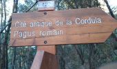 Randonnée Marche Vallauris - VALLAURIS . CITE ANTIQUE DE LA CORDULA O - Photo 1
