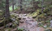 Trail Walking Les Adrets - LA CIME DE LA JASSE PAR LE GROS CAILLOU ET RETOUR PAR LE REFUGE D'AIGUEBELLE - Photo 8