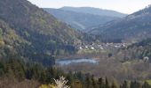 Tocht Stappen Sewen - Lac d'Alfed et sa cascade - Lac des Perches  - Lac du Newiher - Photo 6