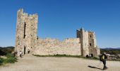 Tour Wandern La Crau - La Crau, Fenouillet, Château d'Hyères - Photo 4