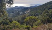 Excursión Ruta Cavalaire-sur-Mer - cavalaire, le dattier par les DFCI - Photo 6