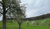 Randonnée  Plombières - Hombourg ffbmp 17km - Photo 1