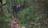 Trail Walking Saint-Maurice-Navacelles - St-Maurice, les Rajols - Photo 5