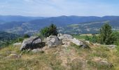 Trail Walking Hohrod - Circuit historique 1914-1918 Hohrodberg - Linge - Photo 7