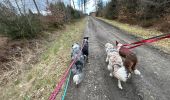 Tour Wandern Neufchâteau - Balade canine 2025 - Photo 1