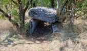 Randonnée V.T.T. Limogne-en-Quercy - circuit des Dolmens - Photo 4