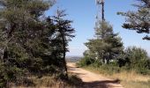 Trail Walking Saint-Saturnin - Vers l'antenne de La Canourgue - Photo 3