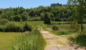 Tocht Stappen Faycelles - Faycelles StEulalie J1+ - Photo 1