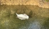 Tocht Stappen Uzès - Fontaine d’Eure - Photo 4