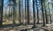 Trail Walking Bertrix - adeps framont  - Photo 7