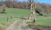 Tour Wandern Bleiberg - A la découverte de Hombourg et ses environs  - Photo 15