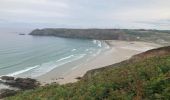 Excursión Senderismo Plogoff - Pointe du Raz - Photo 17