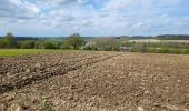 Trail Walking Dinant - Foy Notre Dame 250424 - Photo 5