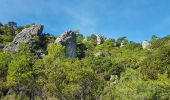 Tocht Stappen Saint-Guilhem-le-Désert - Saint Guilhem L'Ermitage ND de la Grâce - Photo 18