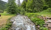 Tocht  Montriond - Lac de Montriond - Photo 3