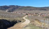 Tour Wandern Mittelweier - Les perles du vignoble  : Mittelwihr - Beblenheim - Zellenberg - Hunawihr - Riquewihr. - Photo 17