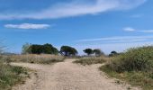 Excursión Senderismo Fréjus - etangs de villepey et collines - Photo 11