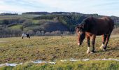 Trail Walking Tellin - Grupont au Bois de Machi - Photo 1