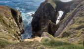 Excursión Senderismo Plogoff - Tour de la pointe du Raz - Photo 1