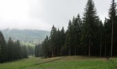 Randonnée A pied Železná Ruda - NS Sklářská - Photo 7