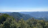 Trail Walking Saint-Étienne-Vallée-Française - Le Martinet - Photo 4