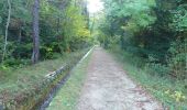 Tocht Stappen Saou - La Grande Combe en Forêt de Saoû - Photo 1