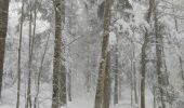 Randonnée Raquettes à neige Léoncel - echaillon 2021 - Photo 2