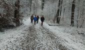 Trail Walking Le Haut-Soultzbach - Lac de la Seigneurie (10/01/2019) - Photo 3