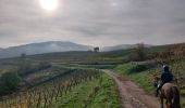 Trail Horseback riding Epfig - 2022-11-11 Journee Epfig Nothalten Dambach - Photo 4