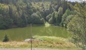 Tour Wandern Büssing - Source de la Moselle - Col de Bussang - Cuisine du Diable - Tête des Perches avec vue Lac des Perches - Photo 9