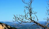 Excursión Senderismo Garéoult - L'Amarron depuis Garéoult - Photo 12