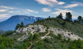 Excursión Senderismo Le Val - Le Mont Cuit par la Grande Muraille - Photo 10