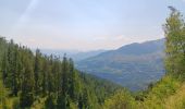 Tour Wandern Puy-Saint-Eusèbe - canal de reyssas jusqu'aux Touisses / retour par le GR Serre-Ponçon via ravin de la pisse  - Photo 10