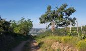 Tocht Noords wandelen Tournon-sur-Rhône - Boyon - Photo 2