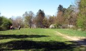 Tour Zu Fuß Gomadingen - Nebenweg des Schwäbischen Albvereins (rote Gabel) - Photo 6