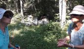 Tocht Stappen Autrans-Méaudre en Vercors - 02 07 19 - Photo 6