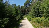 Trail Walking Court-Saint-Étienne - La Roche-Sart Messire Guillaume-La Roche - Photo 5