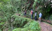 Percorso Marcia São Jorge - Levada del Rei - Photo 4