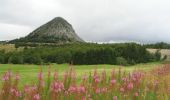 Randonnée Marche Borée - Tour du Mont Mézenc 15km. - Photo 1