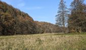 Percorso A piedi Žernov - naučná stezka Babiččino údolí - Photo 1