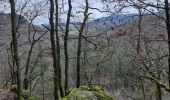 Trail Walking Stoumont - stpumont - froudcour aller via sentier corniche retour le long de l ambleve - Photo 7