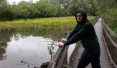 Tocht Stappen Guînes - Marais de Guines - Photo 11