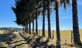 Randonnée Marche Cherier - Les Moulins Chérier : entre Les Faux et Montloup - Photo 1