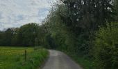 Trail Walking Chimay - A la découverte de Lompret 🥾 - Photo 4