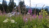 Randonnée Marche Samoëns - plateau des saix . la corne . les biollaires . pointe de cupoire .  plateau des saix - Photo 11