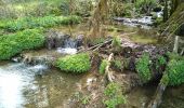 Trail Walking Orgeans-Blanchefontaine - Orgeans Rocher du Boubet et Grottes de Waroly (IBP 89 ) 26 avril 2021 CAF - Photo 10